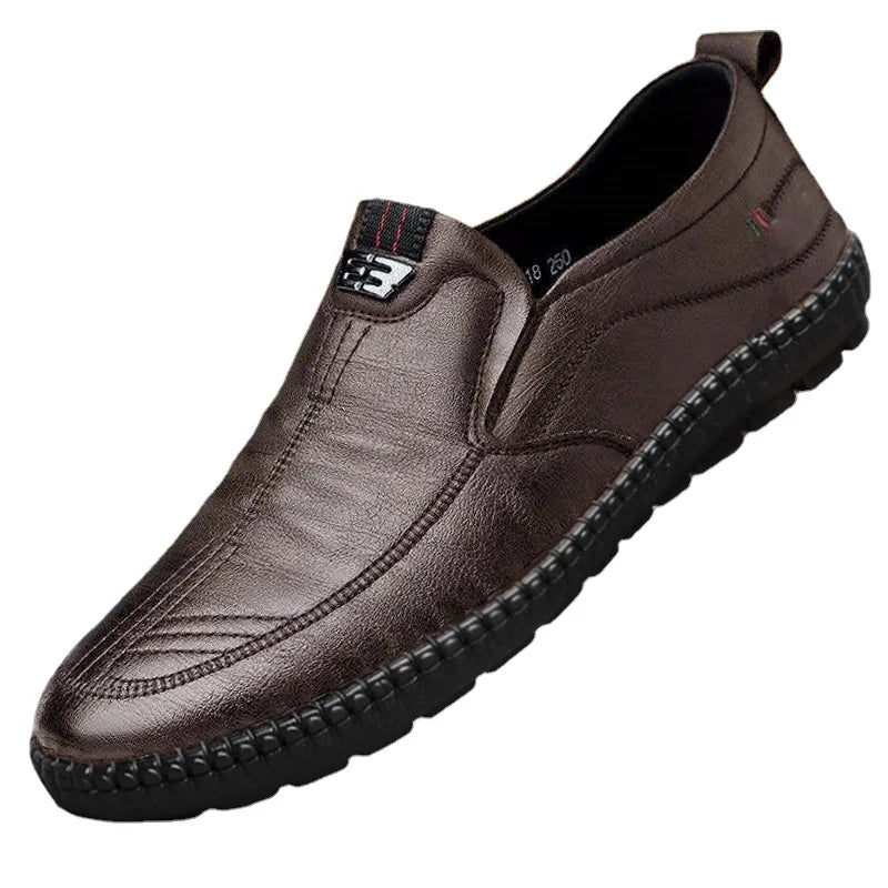 Chaussures de marche Homme Marron